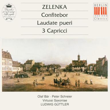 Laudate pueri in D Major, ZWV 81: Qui sicut Dominus