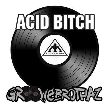 Acid Bitch - Instrumental