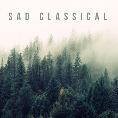Serenade in E Minor for Strings, Op. 20: II. Larghetto