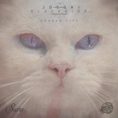 Blackbird - Gorgon City Remix