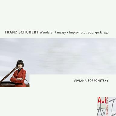 4 Impromptus, D. 899: No. 1 in C Minor. Allegro molto moderato