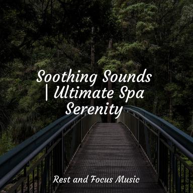 Tranquillity and a Day