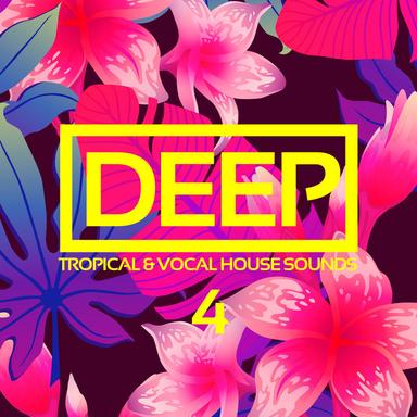What I Feel - House and Sax Remix