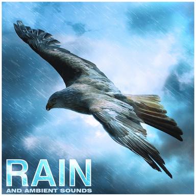 Relaxing Rain