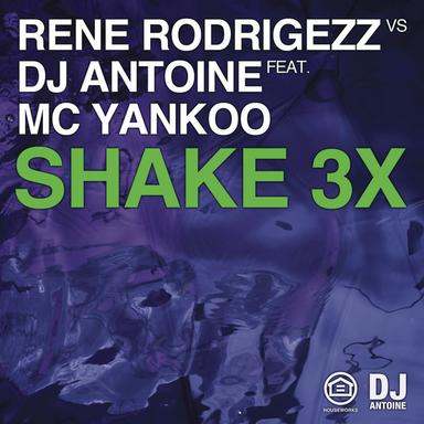 Shake 3x (feat. MC Yankoo) - Ryan Riback Radio Edit