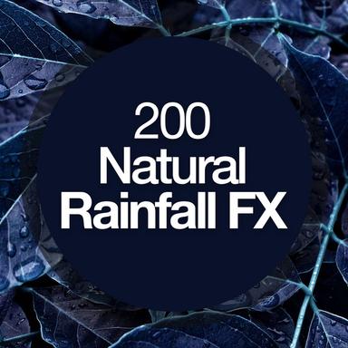 Heavy Thunder Shower