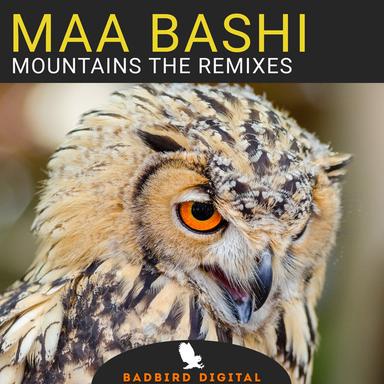 Mountains - Dub Makers Remix