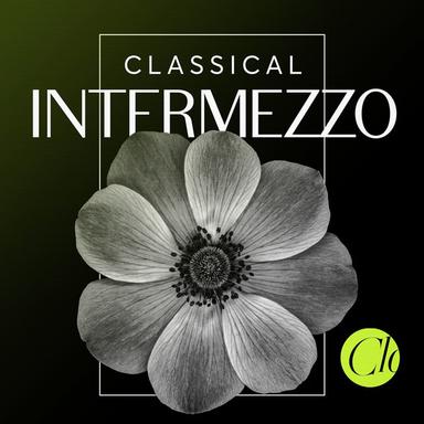 Piano Concerto No. 2 in G Minor, Op. 16: III. Intermezzo (Allegro moderato)