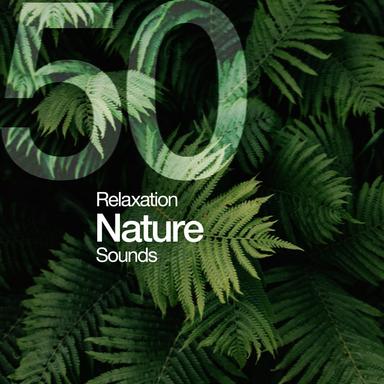 Bird Calls at the River