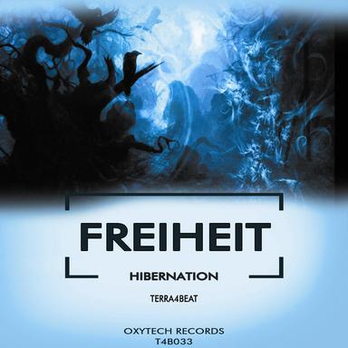 Hibernation - Terra4Beat Remix