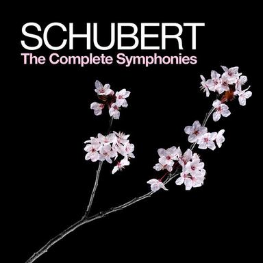 Symphony No. 4 in C Minor, D. 417, "Tragic": IV. Allegro