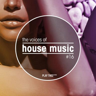 Run & Hide - Dry & Bolinger Remix