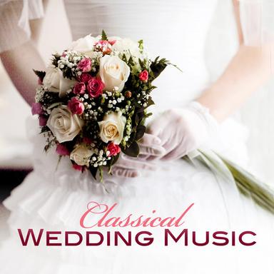 Brandenburg Concerto No. 6 in B-Flat Major, BWV 1051: I. Allegro