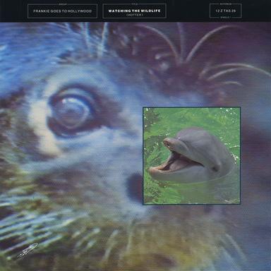 Watching the Wildlife - Hotter