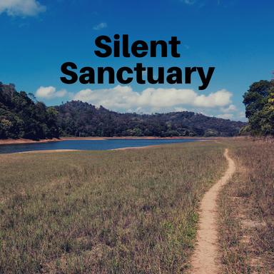 Group Meditation Music, Pt. 13