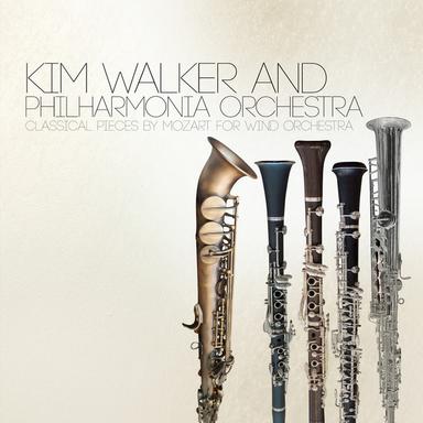 Flute Concerto No. 1 in G Major, K. 313: Allegro maestoso