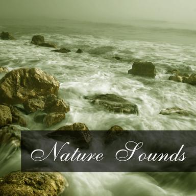 Nature Sounds
