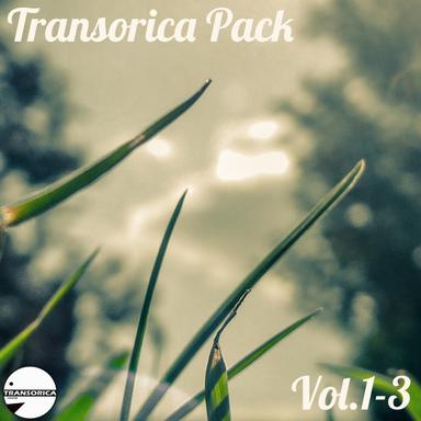 Stereo Sonic - Original Mix
