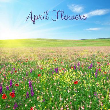 Hiking in the Rockies