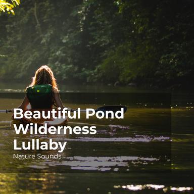 Roaming in the Forest