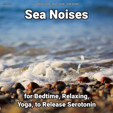 Sea Noises to Meditate To