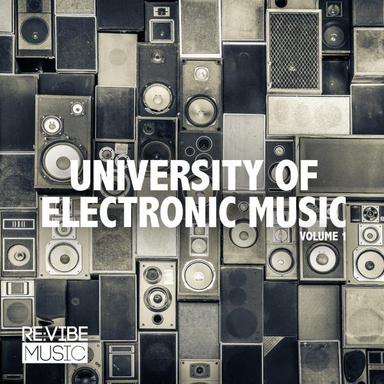 Organic - Dub Mix