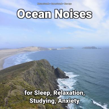 Ocean Sounds for Your Body