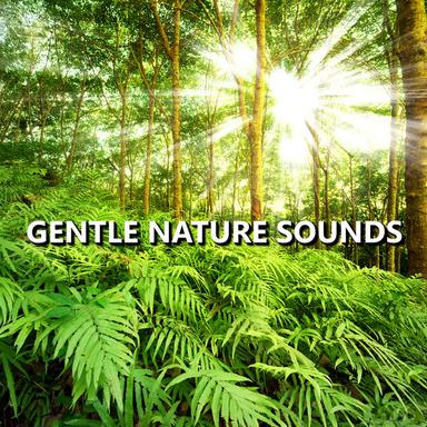 Natural Sounds
