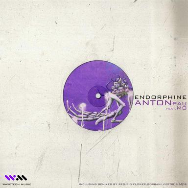 Endorphine - Gorbani Remix