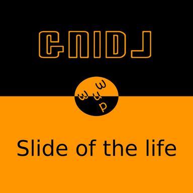 Slide Of The Life - Radio Edit