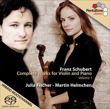 Violin Sonata in D Major, Op. 137 No. 1 D. 384: I. Allegro molto