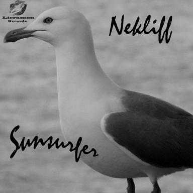 Sunsurfer - Original Mix