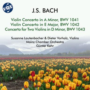 Concerto for 2 Violins in D Minor, BWV 1043: I. Vivace