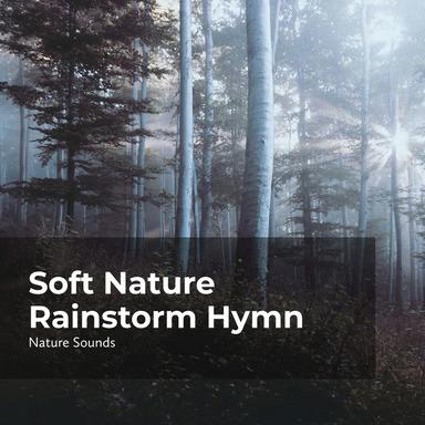 Huge Waterfalls in Tune