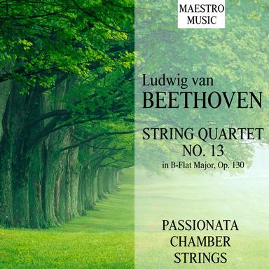 String Quartet No. 13 in B-Flat Major, Op. 130: II. Presto