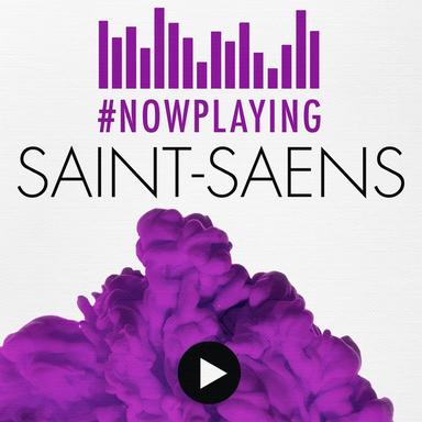 Violin Concerto No. 3 in B Minor, Op. 61 : 1. Allegro non troppo