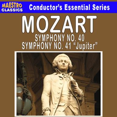 Symphony No. 40 in G Minor, KV. 550: I. Molto allegro