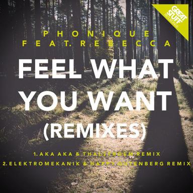 Feel What You Want (Remixes)