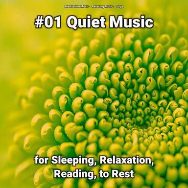 Relaxing Music for Teenagers