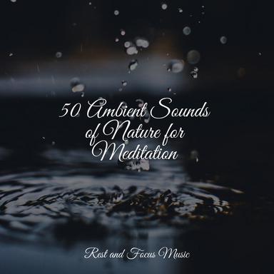 Meditation Eternal