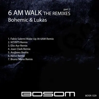 6 Am Walk - Andineo Remix