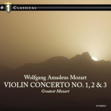 Concerto No. 3 in G Major for Violin and Orchestra, K. 216: II. Adagio