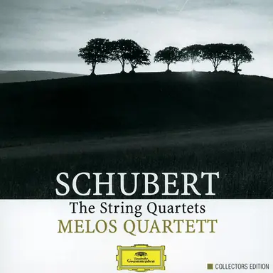 String Quartet No. 2 in C Major, D. 32: II. Andante