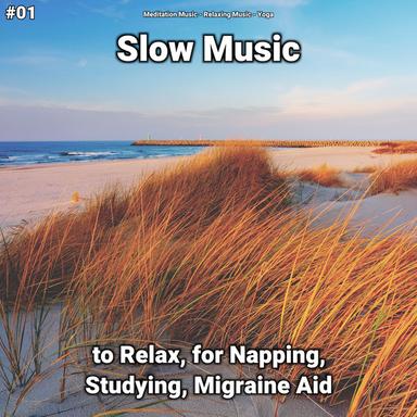 Relaxing Music for Tinnitus