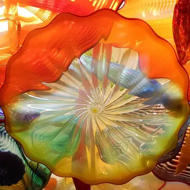 Singing Birds - Loopable