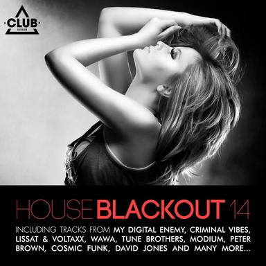 Work the House - Acid DJ Remix