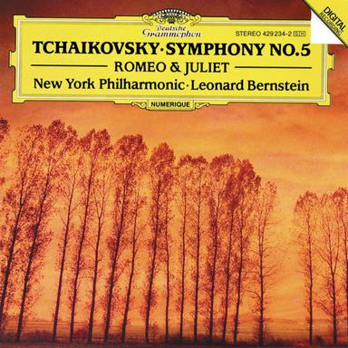 Symphony No. 5 in E Minor, Op. 64: III. Valse. Allegro moderato - Live