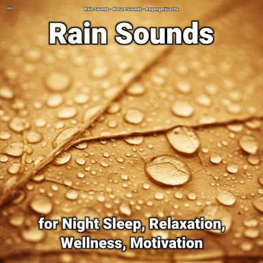 Unwinding Rain Sound