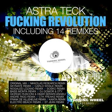 Fucking Revolution - Andre Rigg Remix