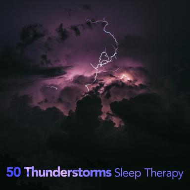 Garden Shed Rain Crickets